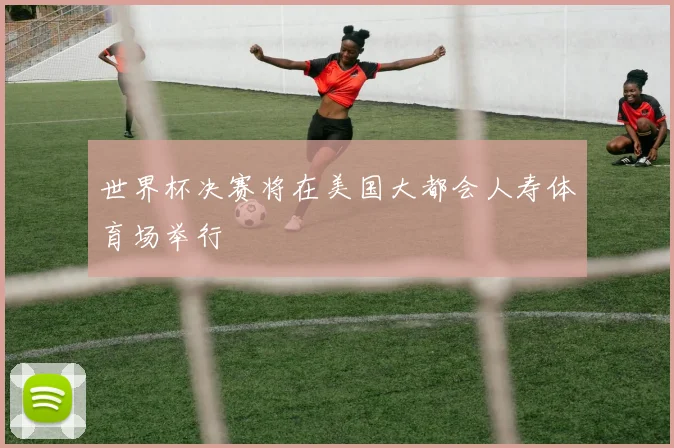 世界杯决赛将在美国大都会人寿体育场举行